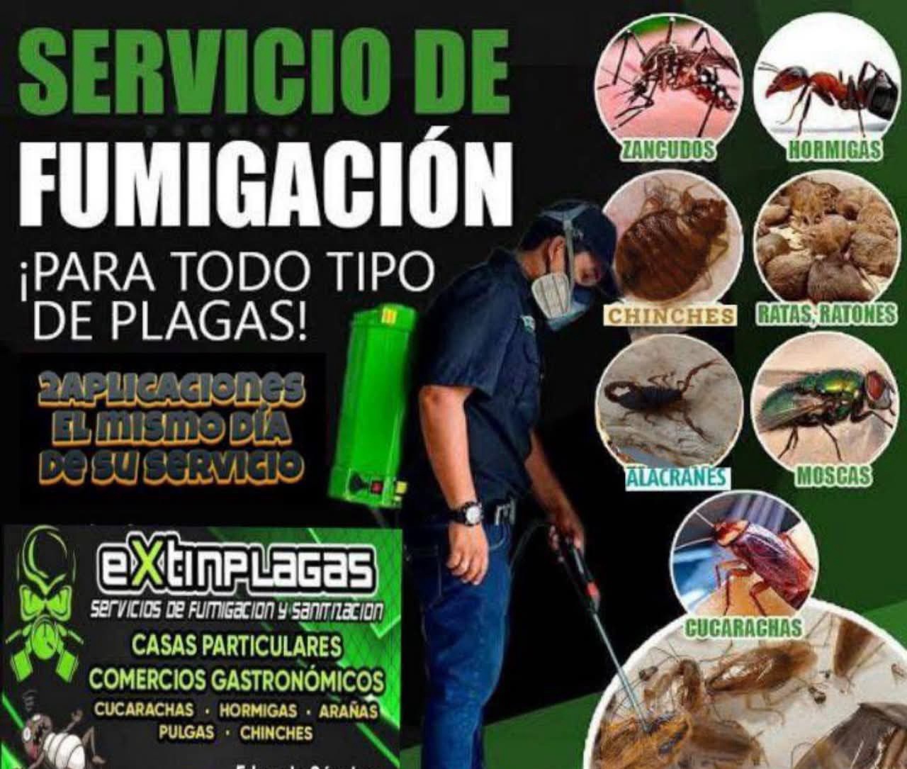 Publicidad de Extin Plagas Fumigaciones